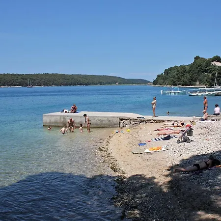 Family-friendly With Swimming Pool Palit, Rab - 16330