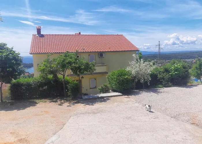 Family-friendly With Swimming Pool Palit, Rab - 16330 Appartement *
